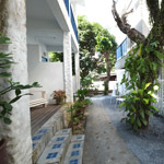krabi phi phi hotels